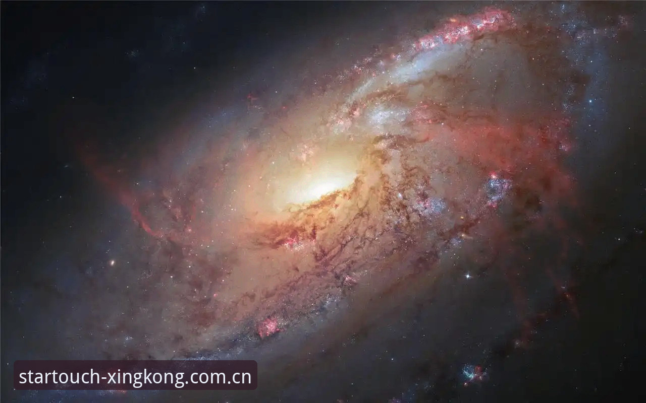 星空入口怎么下载评测 为什么星空入口下载评测比单纯看教程更重要?